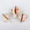 Craft Shells