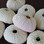 Pink Sea Urchins