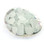 White Sea Glass in Abalone Shell