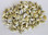 Money Cowrie Seashells - Cypraea Moneta - 1 Pound