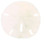 Key Hole Sanddollar