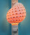 Spotted Tona Seashell Night Light turned on