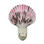 Purple Pectin Nightlight