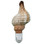 Fox Shell Night Light