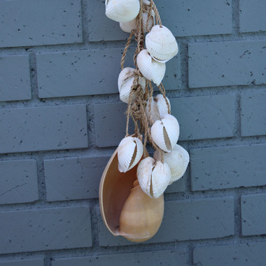 シェルガーランド♡ 22098-long-white-clam-
