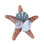 Sugar Starfish Collage Magnet