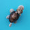 Shell turtle magnet