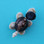Turtle with Blue Hat Magnet
