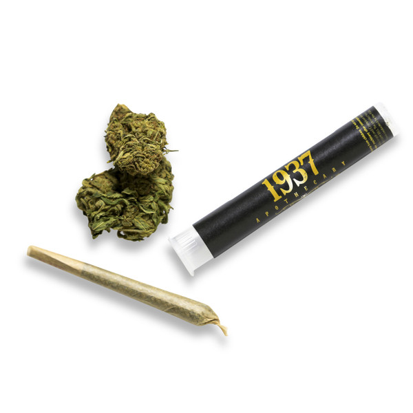 A CBD Flower Pre-Roll sits next to a CBD hemp flower bud and a 1937 Apothecary packaging doob tube.