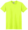 21M_Safety_Green_Flat_Front_2009.jpg
