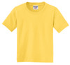 29B_Island_Yellow_Flat_Front_2009.jpg