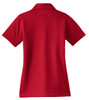 CS413_Red_Flat_Back_2010.jpg