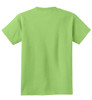 PC54Y_Lime_Flat_Back_2010.jpg