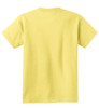 PC54Y_Yellow_Flat_Back_2010.jpg