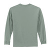 PC61LS_StonewashedGreen_Flat_Back_2009.jpg