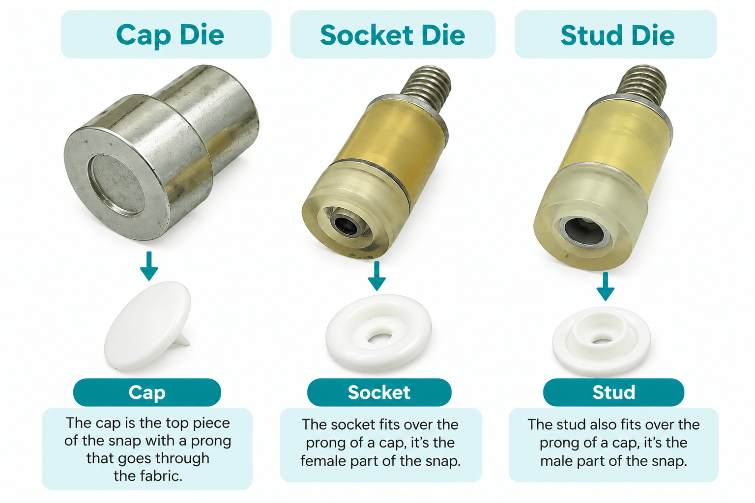 Standard Pro Dies showing cap, socket and stud dies with their matching plastic snap components