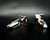 Squared Cufflinks with dotted design 