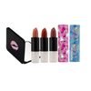 The Refill & Go Lip Kit – Essentials