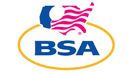 BSA