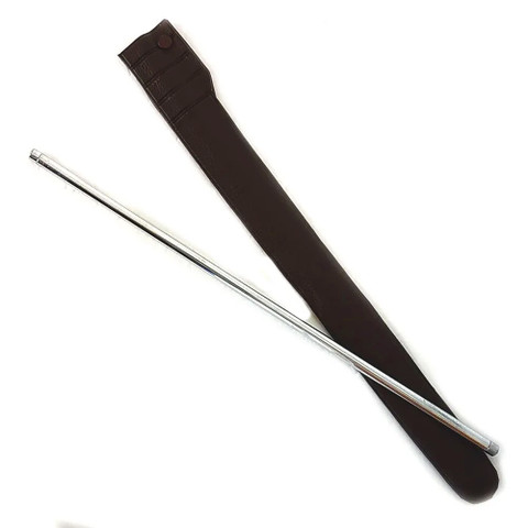 George Blake's Silver Sceptre