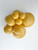 17 Inch Round Deluxe Mustard Balloons Tuftex 50ct