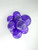 24 Inch Round Crystal Purple Balloons Tuftex 25ct