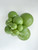 24 Inch Round Deluxe Fiona Green Balloons Tuftex 25ct