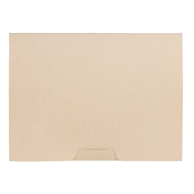 Face Blotting Paper x 100