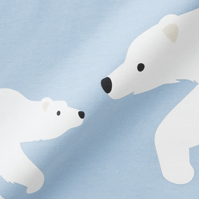 Polar Bear Family