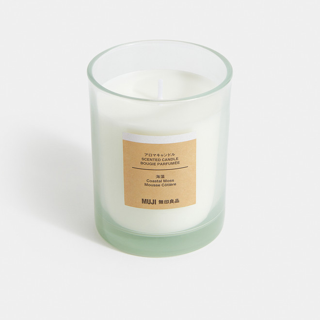 Coastal Moss 1 Wick Candle