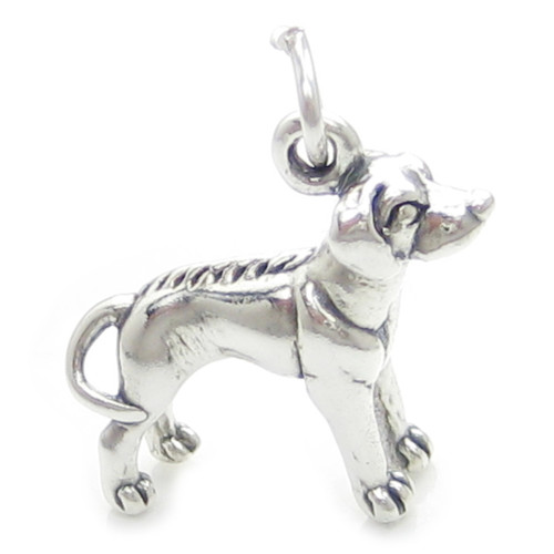 Rhodesian Ridgeback Dog sterling silver charm .925 Dogs charms