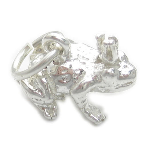 Frog prince sterling silver charm .925 Frogs Princes charms
