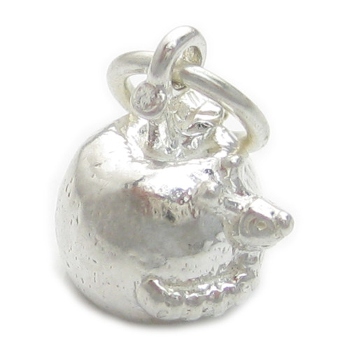 Worm in Apple sterling silver charm .925 Worms Apples charms