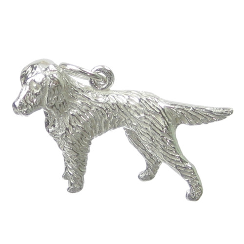 Retriever dog sterling silver charm .925 x 1 Retrievers dogs charms