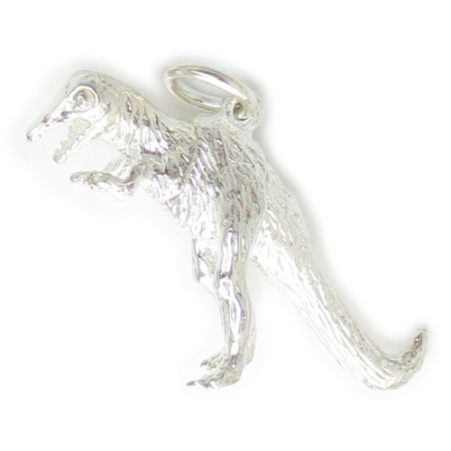 T-Rex Tyrannosaurus Rex sterling silver charm .925 x 1 Dinosaur charms
