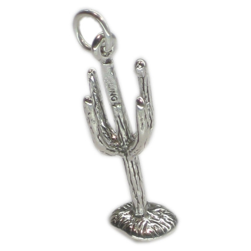Cacti Cactus sterling silver charm .925 x 1 Desert charms