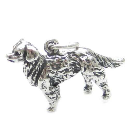 Long Haired Dog sterling silver charm .925 x 1 Hairy Dogs charms