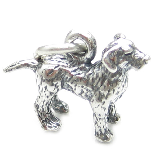 Labrador Retriever Dog sterling silver charm .925 x 1 Labs dogs charms