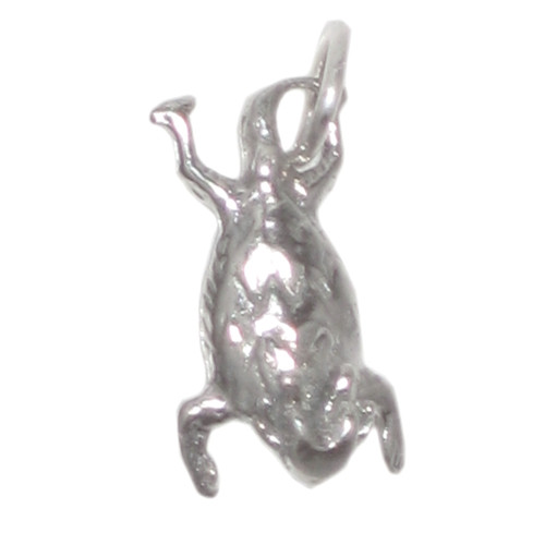 Horned Toad sterling silver charm .925 Toads Frogs charms