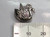 Swan sterling silver charm .925 Swans a Swimming Christmas charms detail