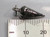 Ice Cream Cone sterling silver charm .925 Cornets and Ices charms detail