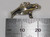 Manatee sterling silver charm .925 x 1 Sea Cows and Manatees charms detail