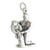 Aquarius sterling silver charm .925 x 1 Water Carrier Zodiacs charms