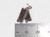 Tickets sterling silver charm .925 Cinema Film Theatre Ticket charms detail