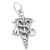 MD Doctor of Medicine sterling silver charm .925 x 1 Medical charms