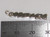 2012 Year sterling silver charm .925 Anniversary Birthday charms side view