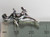 Tyrannosaurus Rex Dinosaur sterling silver charm .925 Dinosaurs size example
