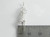 Tiger sterling silver charm .925 Tigers Big Cat Cats charms size example