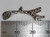Giraffe sterling silver charm with lobster clip .925 Giraf charms size example
