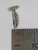 Seashell Sea shell Tiny sterling silver charm .925 Sea Shell Shells size example